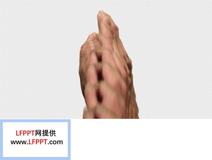 流暢手勢動(dòng)畫ppt特效動(dòng)畫