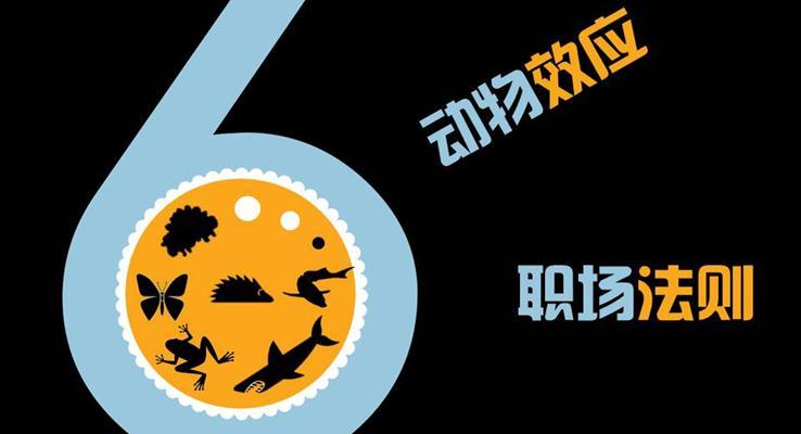 動(dòng)物效應(yīng)，職場(chǎng)法則PPT