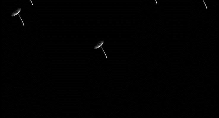 流星、雪花、星空9種動畫合集動畫PPT模板下載