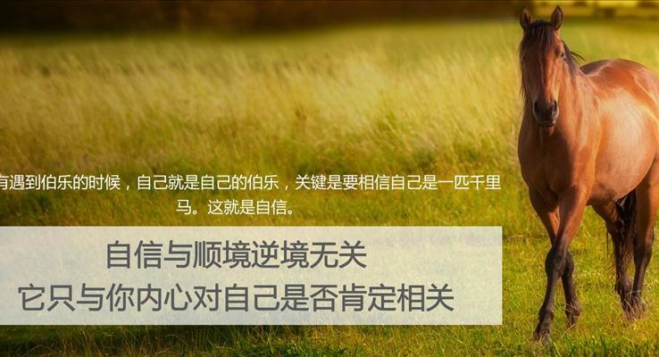 心理資本提升PPT模板
