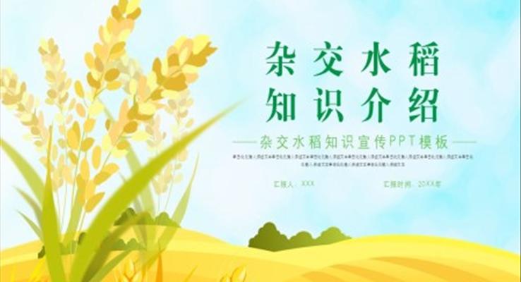 雜交水稻ppt演講之演講演說PPT模板