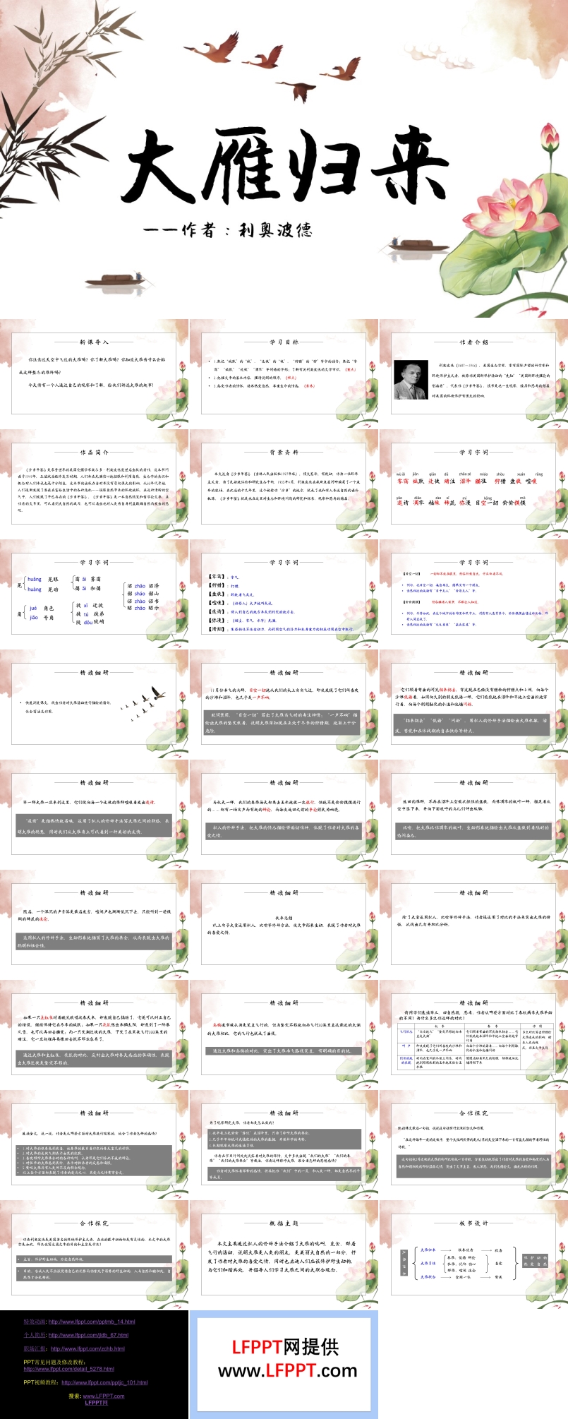 《大雁歸來》教育教學(xué)課件PPT