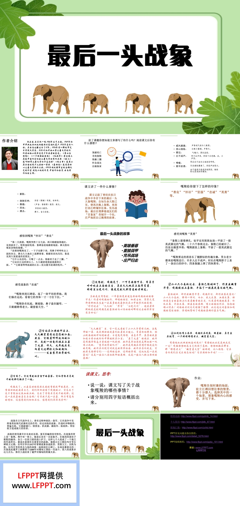 語文課件《最后一頭戰(zhàn)象》PPT