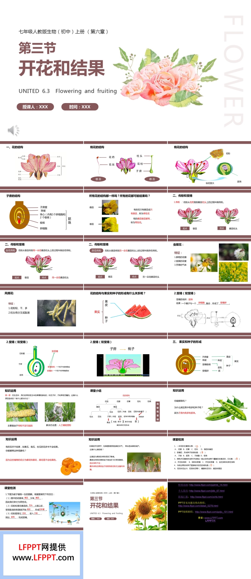 部編版七年級(jí)生物上冊(cè)開花和結(jié)果課件PPT