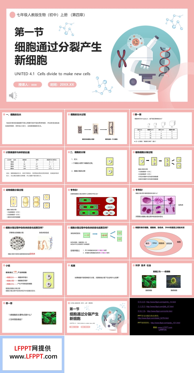 部編版七年級(jí)生物上冊(cè)細(xì)胞通過(guò)分裂產(chǎn)生新細(xì)胞課件PPT