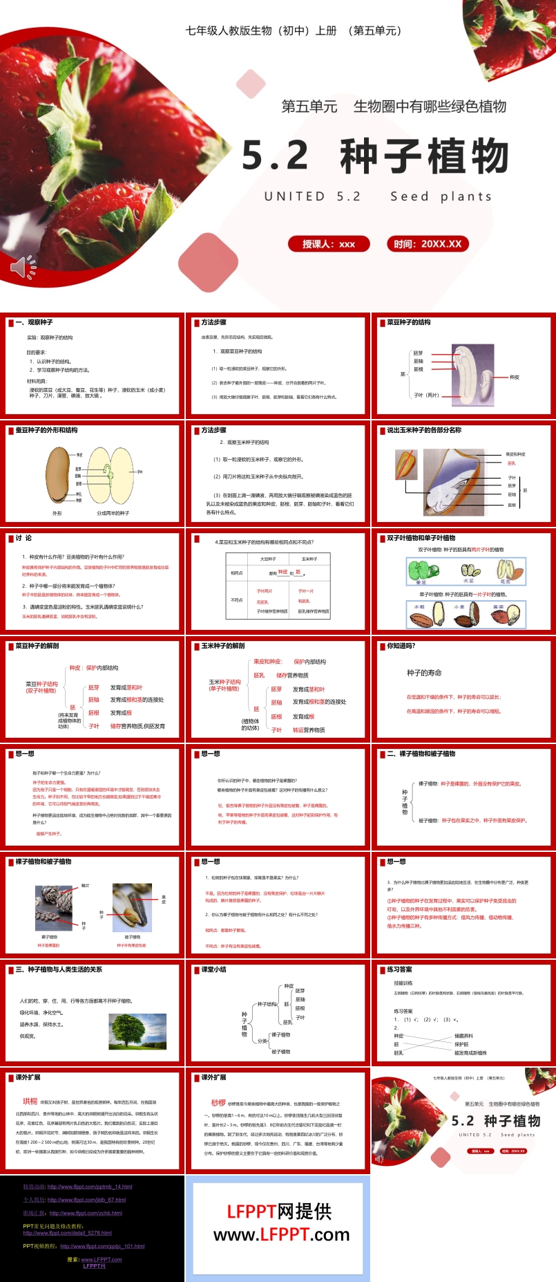 部編版七年級生物上冊種子植物課件PPT