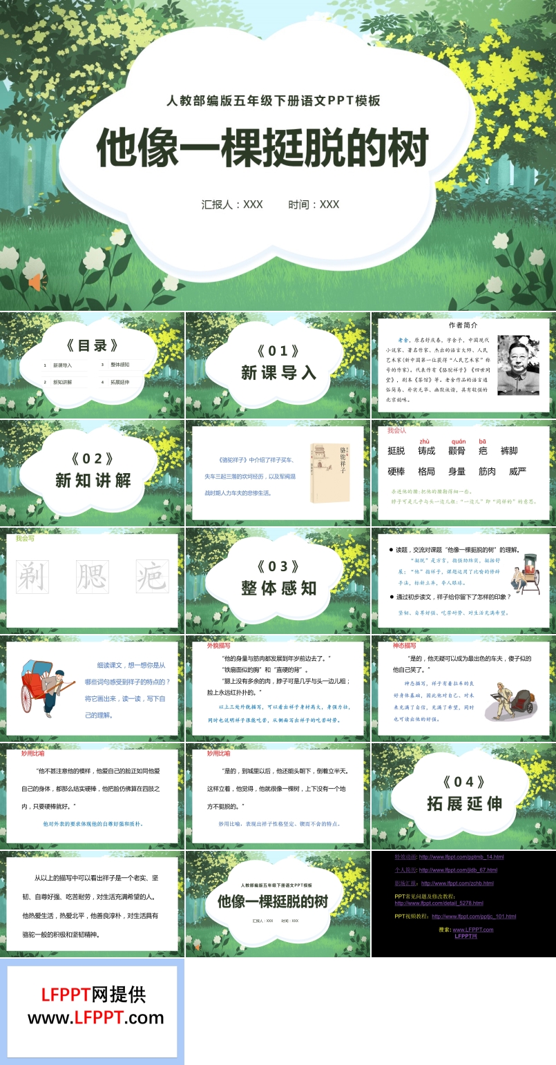 他像一棵挺脫的樹ppt課件