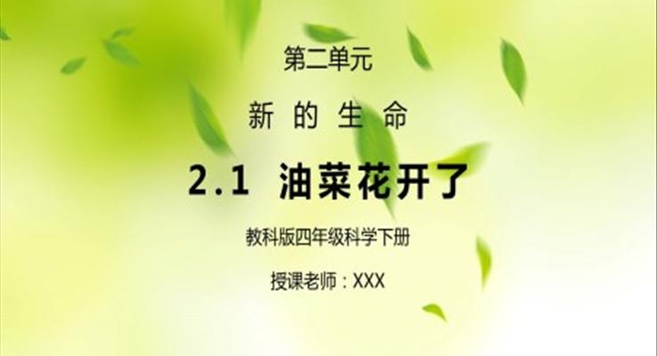 新的生命油菜花開(kāi)了PPT課件