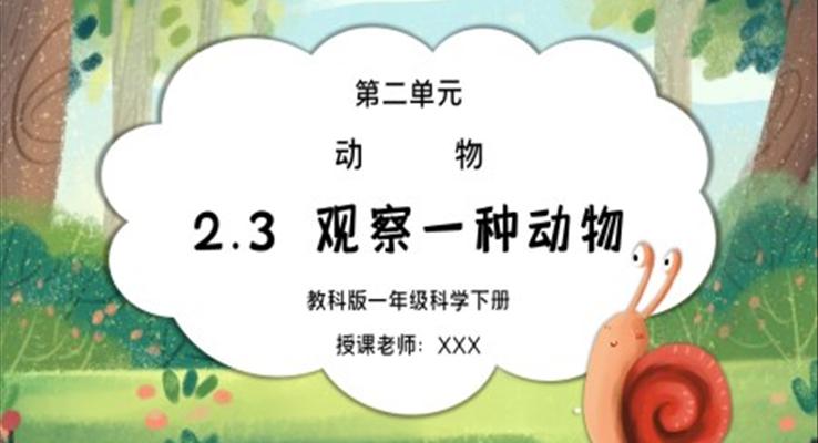 教科版一年級(jí)科學(xué)下冊(cè)第二單元《動(dòng)物-觀察一種動(dòng)物》PPT課件