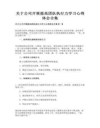 關(guān)于公司開(kāi)展提高團(tuán)隊(duì)執(zhí)行力學(xué)習(xí)心得體會(huì)合集