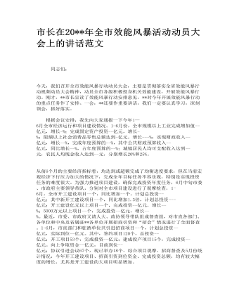 市長在全市效能風暴活動動員大會上的講話范文