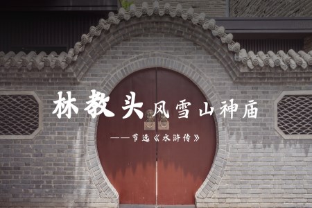 高中語文人教版高一必修《林教頭風雪山神廟》教育教學課件PPT