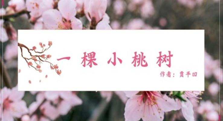 初中語(yǔ)文人教版七年級(jí)《一顆小桃樹(shù)》PPT課件