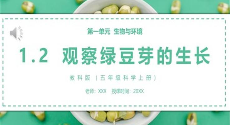 教科版五年級科學(xué)上冊觀察綠豆芽的生長PPT模板