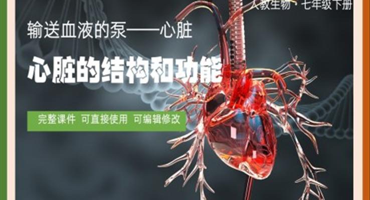 七年級下冊輸送血液的泵心臟的結(jié)構(gòu)和功能PPT課件