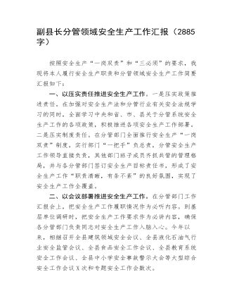 副縣長分管領(lǐng)域安全生產(chǎn)工作匯報(bào)