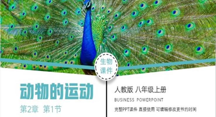 生物八年級上冊動物的運動PPT課件