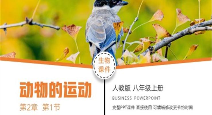 生物八年級上冊動物的運動PPT課件