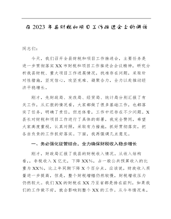 在2023年縣財稅和項目工作推進(jìn)會上的講話