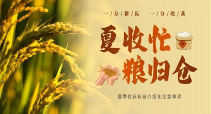 夏收工作服務(wù)保障總結(jié)匯報(bào)PPT模板夏收忙糧歸倉(cāng)