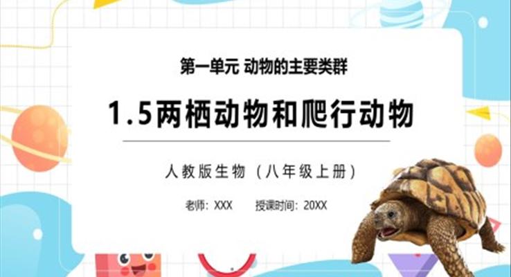 兩棲動(dòng)物和爬行動(dòng)物PPT課件模板部編版八年級生物上冊