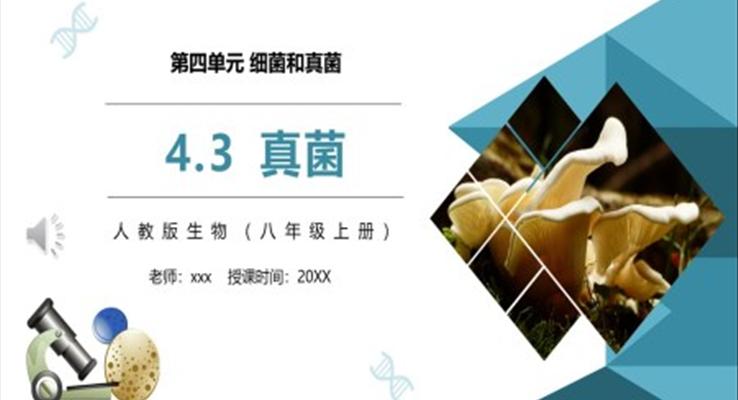 真菌課件PPT模板部編版八年級生物上冊